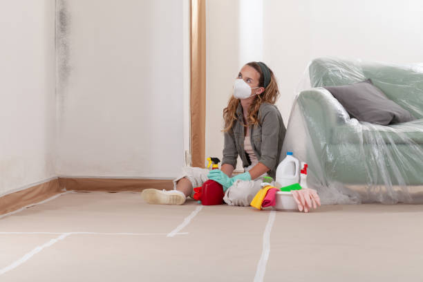 Reliable Basement Mold Remediation contractor in Bellevue, KY by WQB Mold Removal